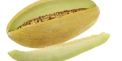 عوارض پوست خربزه خیراندیش در طب سنتی برای مردان و زنان