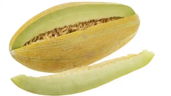 عوارض پوست خربزه خیراندیش در طب سنتی برای مردان و زنان