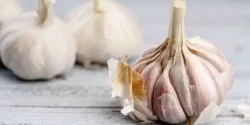 عوارض پوست سیر خیراندیش در طب سنتی برای مردان و زنان