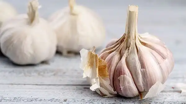 عوارض پوست سیر خیراندیش در طب سنتی برای مردان و زنان