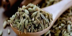 عوارض رازیانه خیراندیش در طب سنتی برای مردان و زنان