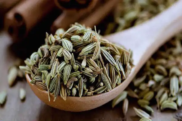 عوارض رازیانه خیراندیش در طب سنتی برای مردان و زنان