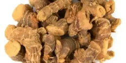 عوارض ریشه جوز هندی خیراندیش در طب سنتی برای مردان و زنان