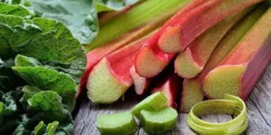 عوارض ریواس خیراندیش در طب سنتی برای مردان و زنان