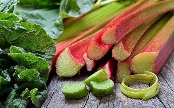 عوارض ریواس خیراندیش در طب سنتی برای مردان و زنان