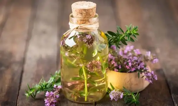 عوارض روغن آویشن خیراندیش در طب سنتی برای مردان و زنان