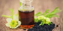 عوارض روغن هلیله سیاه خیراندیش در طب سنتی برای مردان و زنان