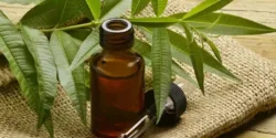 عوارض روغن حنا خیراندیش در طب سنتی برای مردان و زنان