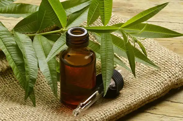 عوارض روغن حنا خیراندیش در طب سنتی برای مردان و زنان