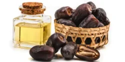عوارض روغن هسته خرما خیراندیش در طب سنتی برای مردان و زنان
