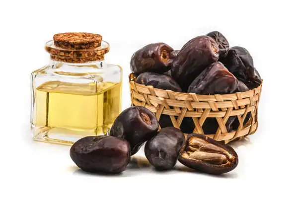 عوارض روغن هسته خرما خیراندیش در طب سنتی برای مردان و زنان