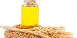 عوارض روغن جوانه گندم خیراندیش در طب سنتی برای مردان و زنان