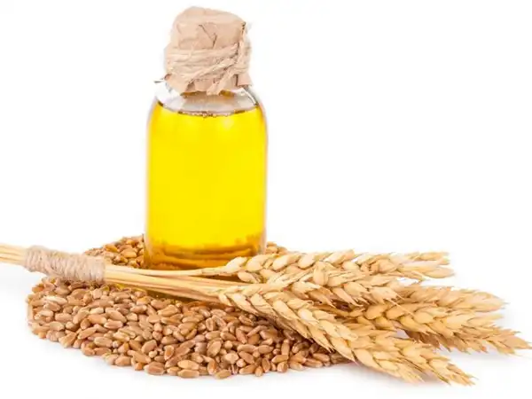 عوارض روغن جوانه گندم خیراندیش در طب سنتی برای مردان و زنان