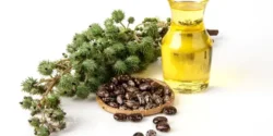 عوارض روغن کرچک خیراندیش در طب سنتی برای مردان و زنان