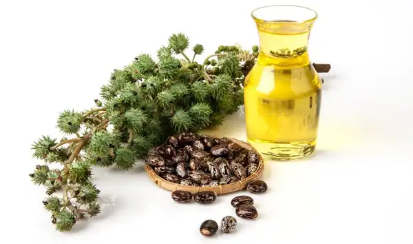 عوارض روغن کرچک خیراندیش در طب سنتی برای مردان و زنان