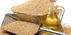 عوارض روغن کنجد خیراندیش در طب سنتی برای مردان و زنان
