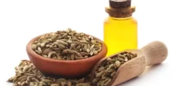 عوارض روغن رازیانه خیراندیش در طب سنتی برای مردان و زنان
