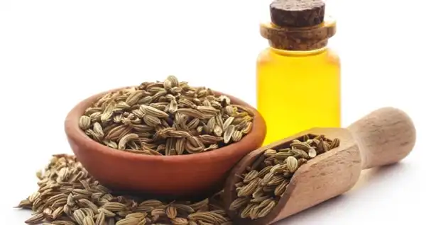 عوارض روغن رازیانه خیراندیش در طب سنتی برای مردان و زنان