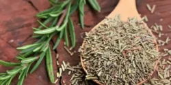 عوارض رزماری خیراندیش در طب سنتی برای مردان و زنان