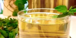 عوارض سکنجبین خیراندیش در طب سنتی برای مردان و زنان