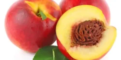 عوارض شفتالو خیراندیش در طب سنتی برای مردان و زنان