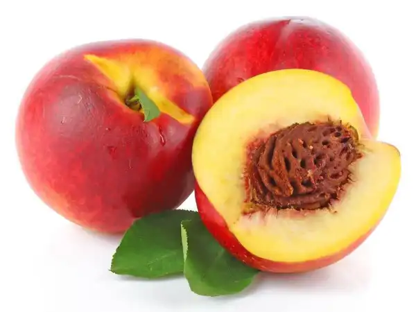 عوارض شفتالو خیراندیش در طب سنتی برای مردان و زنان