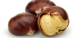 عوارض شاه بلوط خیراندیش در طب سنتی برای مردان و زنان