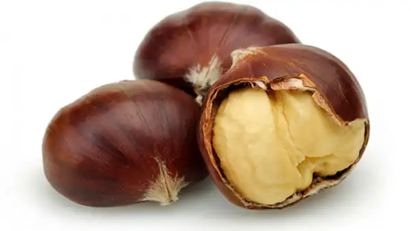 عوارض شاه بلوط خیراندیش در طب سنتی برای مردان و زنان