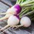 عوارض شلغم خیراندیش در طب سنتی برای مردان و زنان