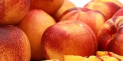 عوارض شلیل خیراندیش در طب سنتی برای مردان و زنان
