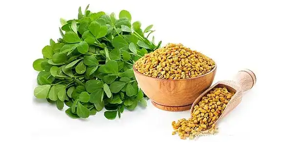 عوارض شنبلیله خیراندیش در طب سنتی برای مردان و زنان