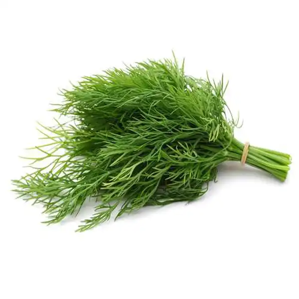 عوارض شوید خیراندیش در طب سنتی برای مردان و زنان