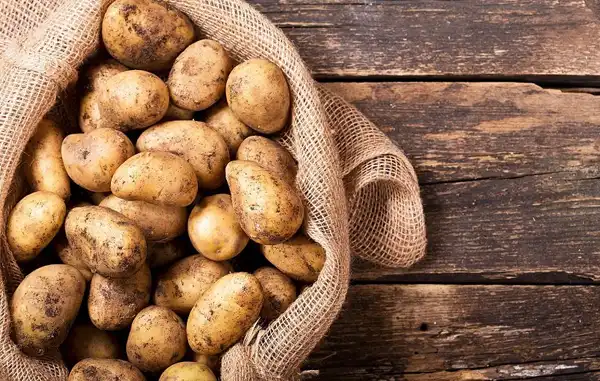 عوارض سیب زمینی خیراندیش در طب سنتی برای مردان و زنان