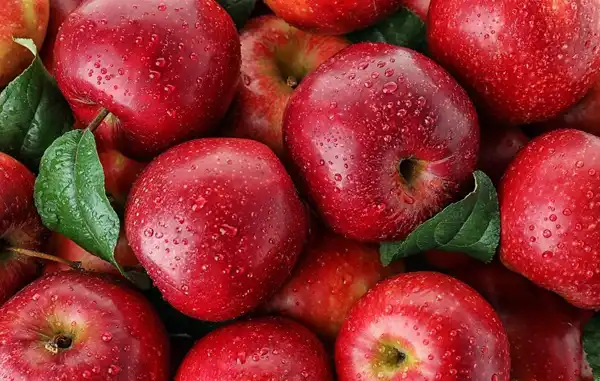 عوارض سیب خیراندیش در طب سنتی برای مردان و زنان