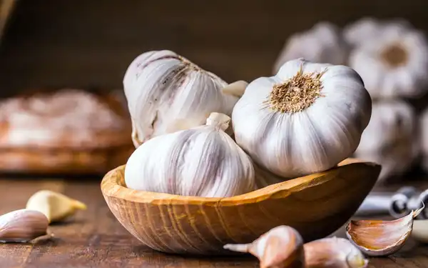 عوارض سیر خیراندیش در طب سنتی برای مردان و زنان
