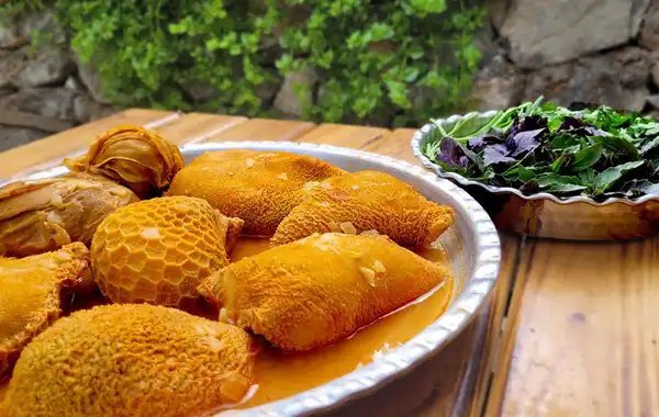 عوارض سیرابی خیراندیش در طب سنتی برای مردان و زنان