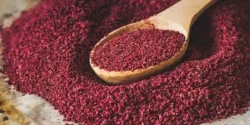 عوارض سماق خیراندیش در طب سنتی برای مردان و زنان