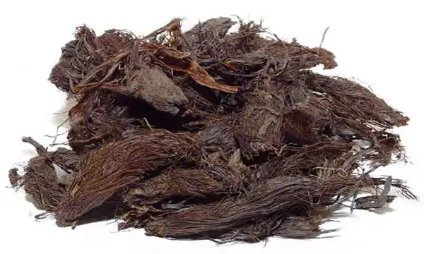 عوارض سنبل الطیب خیراندیش در طب سنتی برای مردان و زنان