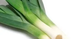 عوارض تره فرنگی خیراندیش در طب سنتی برای مردان و زنان