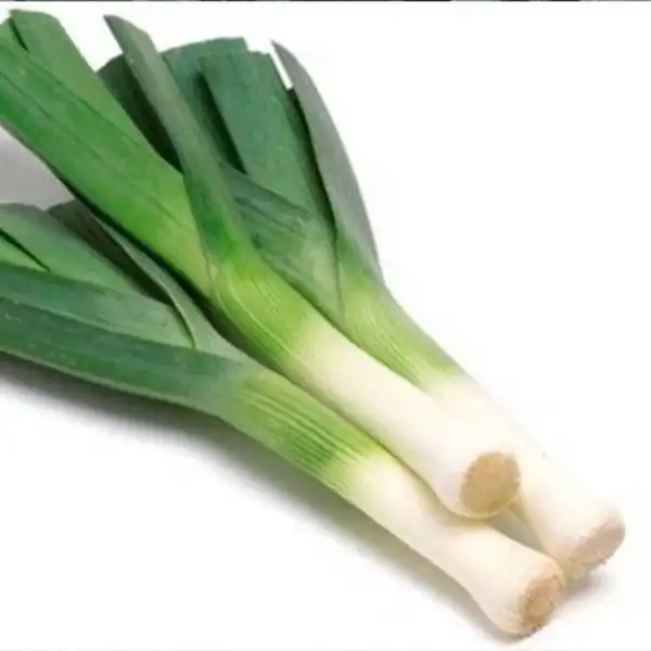 عوارض تره فرنگی خیراندیش در طب سنتی برای مردان و زنان