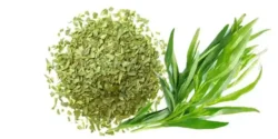 عوارض ترخون خیراندیش در طب سنتی برای مردان و زنان