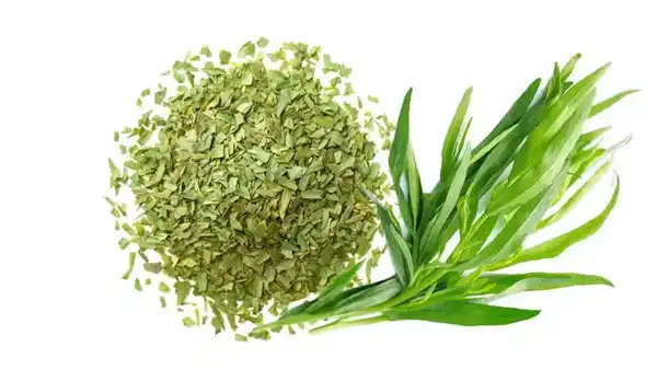 عوارض ترخون خیراندیش در طب سنتی برای مردان و زنان