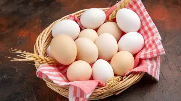 عوارض تخم مرغ خیراندیش در طب سنتی برای مردان و زنان