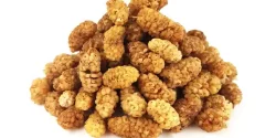 عوارض توت خشک خیراندیش در طب سنتی برای مردان و زنان