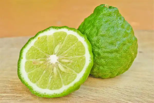 عوارض ترنج خیراندیش در طب سنتی برای مردان و زنان
