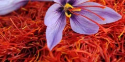 عوارض زعفران خیراندیش در طب سنتی برای مردان و زنان