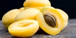 عوارض زردآلو خیراندیش در طب سنتی برای مردان و زنان