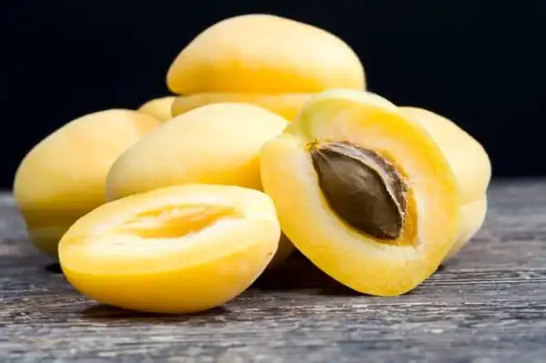 عوارض زردآلو خیراندیش در طب سنتی برای مردان و زنان
