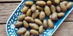 عوارض زیتون ماری خیراندیش در طب سنتی برای مردان و زنان