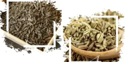 عوارض زیره خیراندیش در طب سنتی برای مردان و زنان